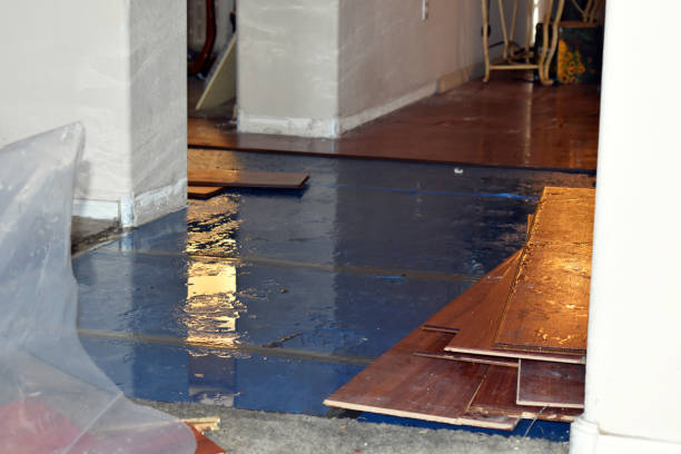 Professional Basement Flood Cleanup technician working in Berlin, NH